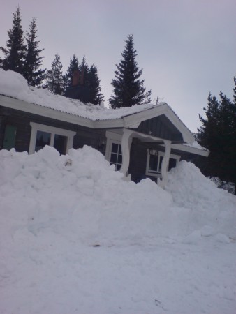 takskottning